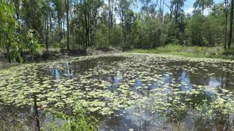 Farm Property for Sale - 159 Hunters Road Ewingar NSW 2469