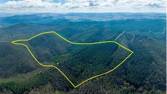 Farm Property for Sale - 771 Greywacke Road Twenty Forests NSW 2795