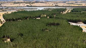 Farm Property for Sale - Mindarra WA 6503