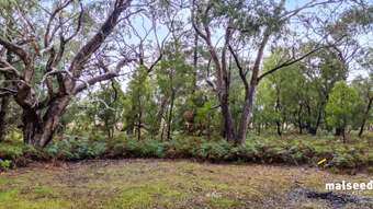 Farm Property for Sale -  Glenelg Highway Casterton VIC 3311