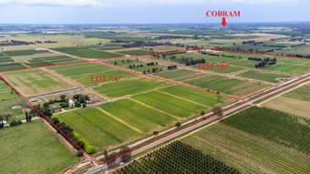 Farm Property for Sale - 224 Chapel Road Cobram VIC 3644