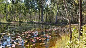 Farm Property for Sale - 2229 Myall Creek Road West Bungawalbin NSW 2471