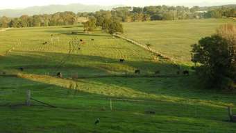 Farm Property for Sale - 126 Marys Bay Road Euroka NSW 2440