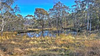 Farm Property for Sale - 18 Highview Court Omeo VIC 3898