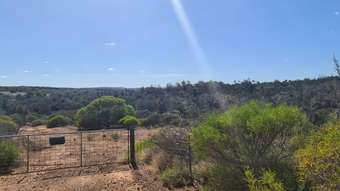 Farm Property for Sale - 37 Yallabatharra Road Yallabatharra WA 6535