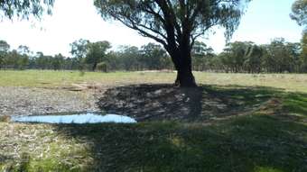 Farm Property for Sale - CA 8 Bobsiens Hill Road Wedderburn VIC 3518