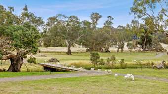 Farm Property for Sale - 155 Beckworth Court Road Clunes VIC 3370