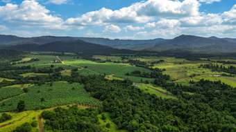 Farm Property for Sale - 1020 Pullom Road Nerada QLD 4860