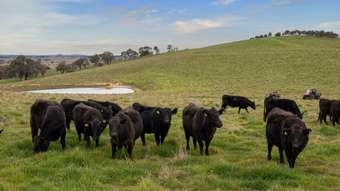 Farm Property for Sale - 43 Byng Road Guyong NSW 2798