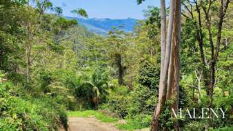 Farm Property for Sale - 97-155 Doyle Road Wootha QLD 4552