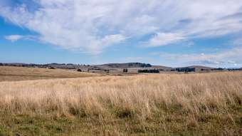 Farm Property for Sale - 353 Moorilda Road Moorilda NSW 2795