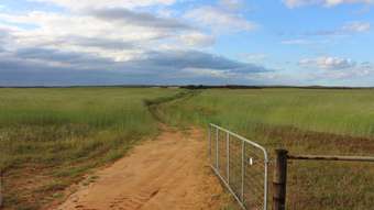 Farm Property for Sale - 570 Ridgway Road Lameroo SA 5302