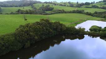 Farm Property for Sale - Dorrigo NSW 2453