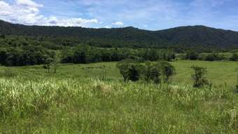 Farm Property for Sale - 12 Dobbin Road Warrubullen QLD 4871