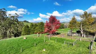 Farm Property for Sale - 175 Fishers Road Boolarra South VIC 3870