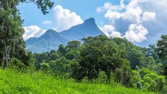 Farm Property for Sale - 37 Chevell Place Smiths Creek NSW 2484