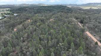 Farm Property for Sale - 116 Sullivans Road Coonabarabran NSW 2357