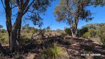 Farm Property for Sale - Lot 3698 Timaru Road Muchea WA 6501