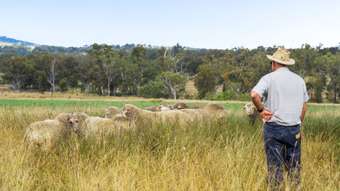 Farm Property for Sale - "Lina Greenup Limevale Road Brush Creek QLD 4387