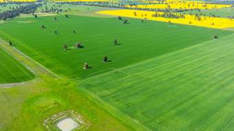 Farm Property for Sale - 153 Balldale-Coreen Road Corowa NSW 2646