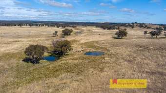 Farm Property for Sale - 86 Brooklyn Road Dunedoo NSW 2844