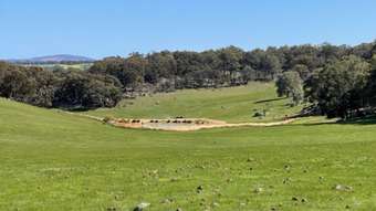 Farm Property for Sale - Zilko Road and Box Poison Hill Road Quindanning WA 6391
