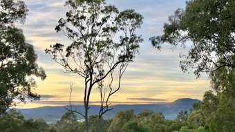 Farm Property for Sale - 4470 Beaudesert Nerang Road Beaudesert QLD 4285