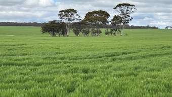 Farm Property for Sale - 1255 Kukerin South Road ((Lot 14965) Kukerin WA 6352