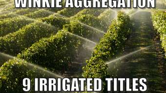 Farm Property for Sale - 277 Winkie Road Winkie SA 5343