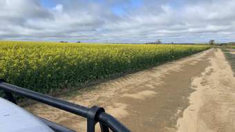 Farm Property for Sale - 16111 Goldfields Road Merredin WA 6415