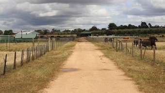 Farm Property for Sale - Allotment  Mallee Highway Pinnaroo SA 5304