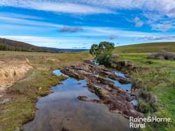 318 Holloways Road Tarlo NSW 2580