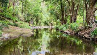 Farm Property for Sale - 3 Shady Lane Diamond Valley QLD 4553