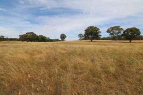  Calder Highway Wedderburn VIC 3518