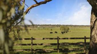 Farm Property for Sale - 360 4AK Road Kingsthorpe QLD 4400