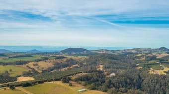 Farm Property for Sale - 313 Ducks Ridge Road Comboyne NSW 2429