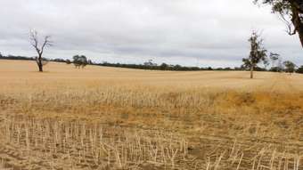 Farm Property for Sale - Proposed L Teatrick Road Wolseley SA 5269