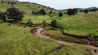 Farm Property for Sale - Lot 146 Mount Darling Road Wyangala NSW 2808