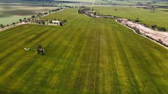Farm Property for Sale - Tokyngton, Read Road Coorow WA 6515