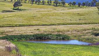 Farm Property for Sale - 79 Bryans Gap Road Tenterfield NSW 2372