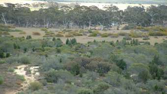 Farm Property for Sale - 9876 Coorow-Green Head Road Coorow WA 6515