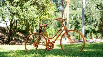 Farm Property for Sale - 249 Rowlands Creek Road Uki NSW 2484