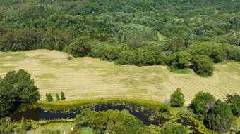 Farm Property for Sale - 121 Holts Road Cooroy QLD 4563