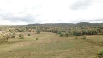 Farm Property for Sale - 249 HAWKINS ROAD Tambar Springs NSW 2381