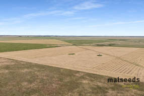 Farm Property for Sale - 516 & 549 Conricks Road Lucindale SA 5272