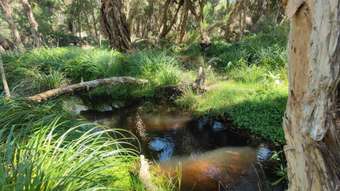 Farm Property for Sale - . End of Lefroy Street Gingin WA 6503