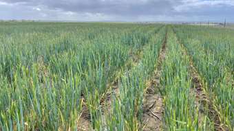 Farm Property for Sale - 514 Airstrip Road Moora WA 6510