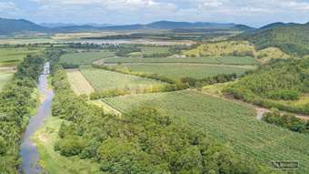 Farm Property for Sale - Cowley QLD 4871