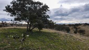 Farm Property for Sale - Fairview, Hill End Road Hill End NSW 2850