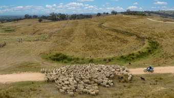 Farm Property for Sale - 181 The Bridle Track Duramana NSW 2795